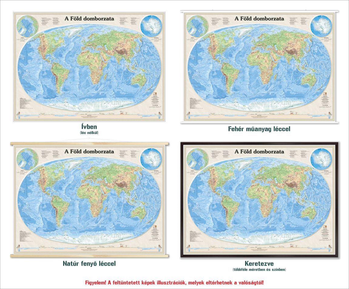 A Föld domborzata falitérkép